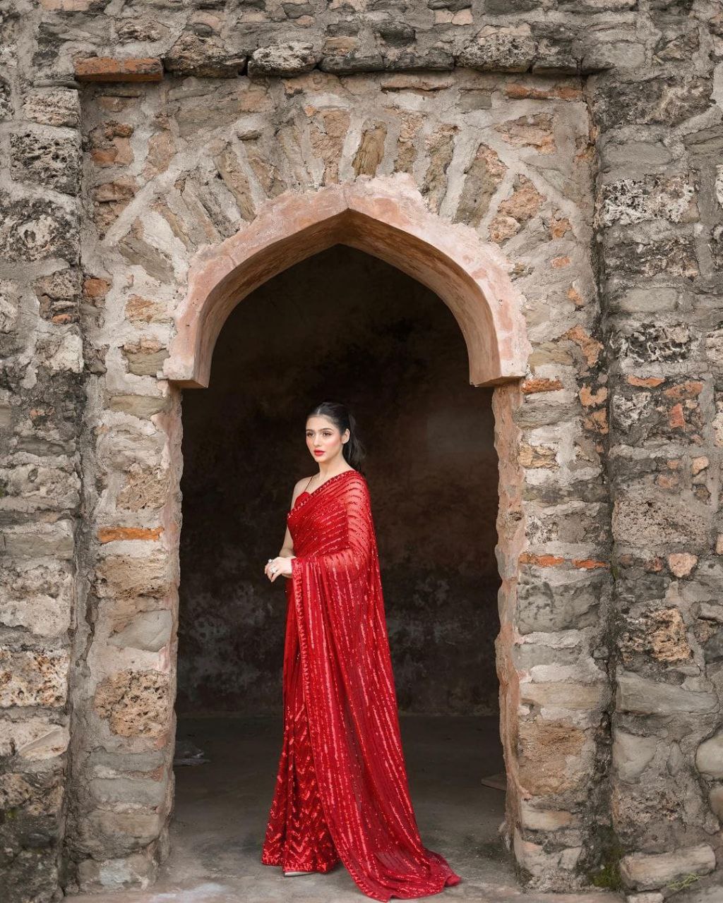 Georgette Sequence Embroidery Saree