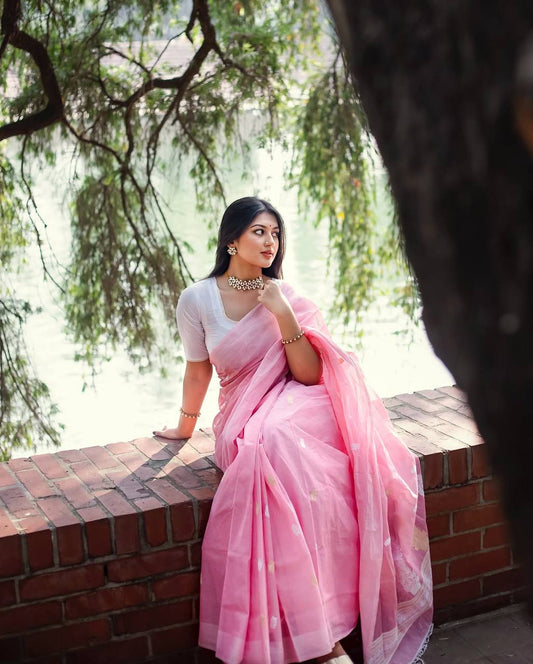 Soft Lilen Slub Saree with Jacquard Weaving