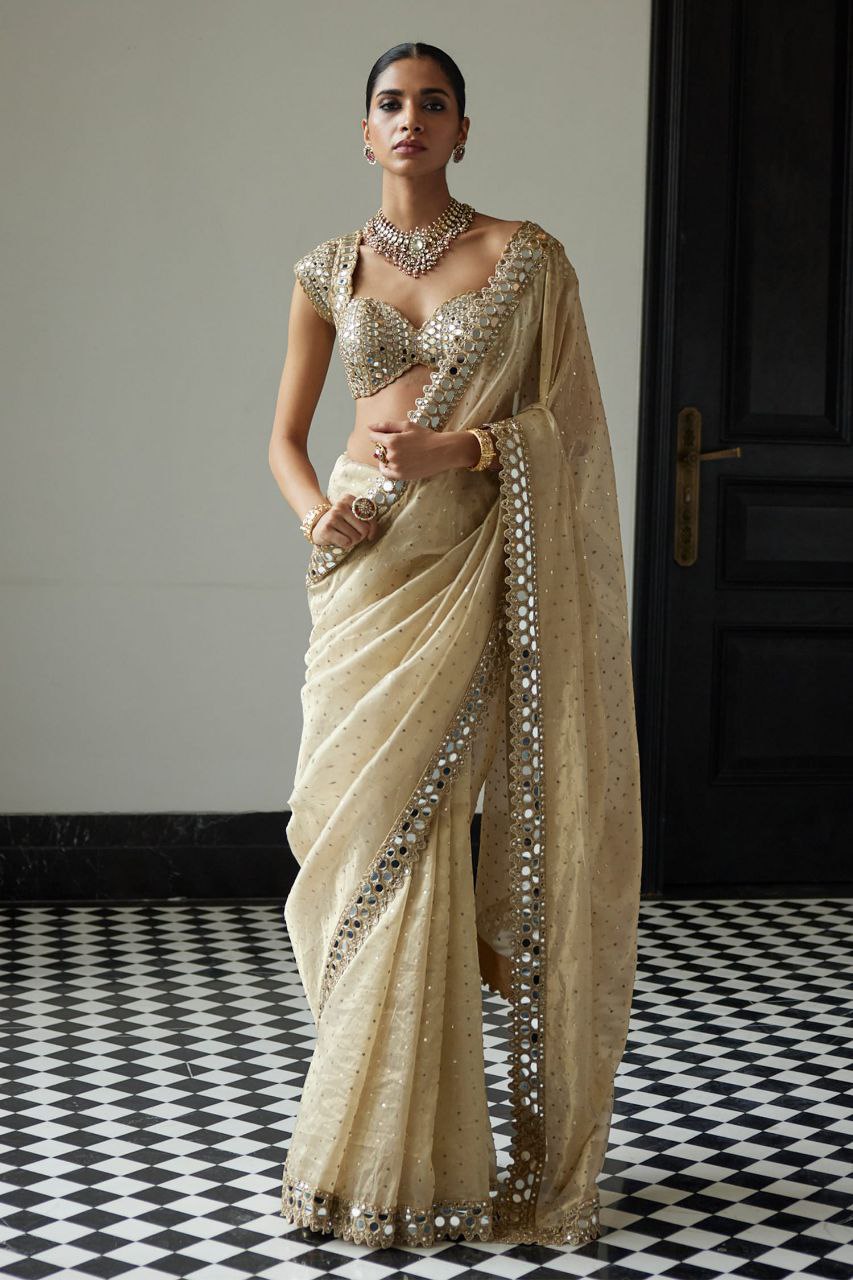 Designer Organza Saree with 5mm Sequins & Mirror Work Lace Border