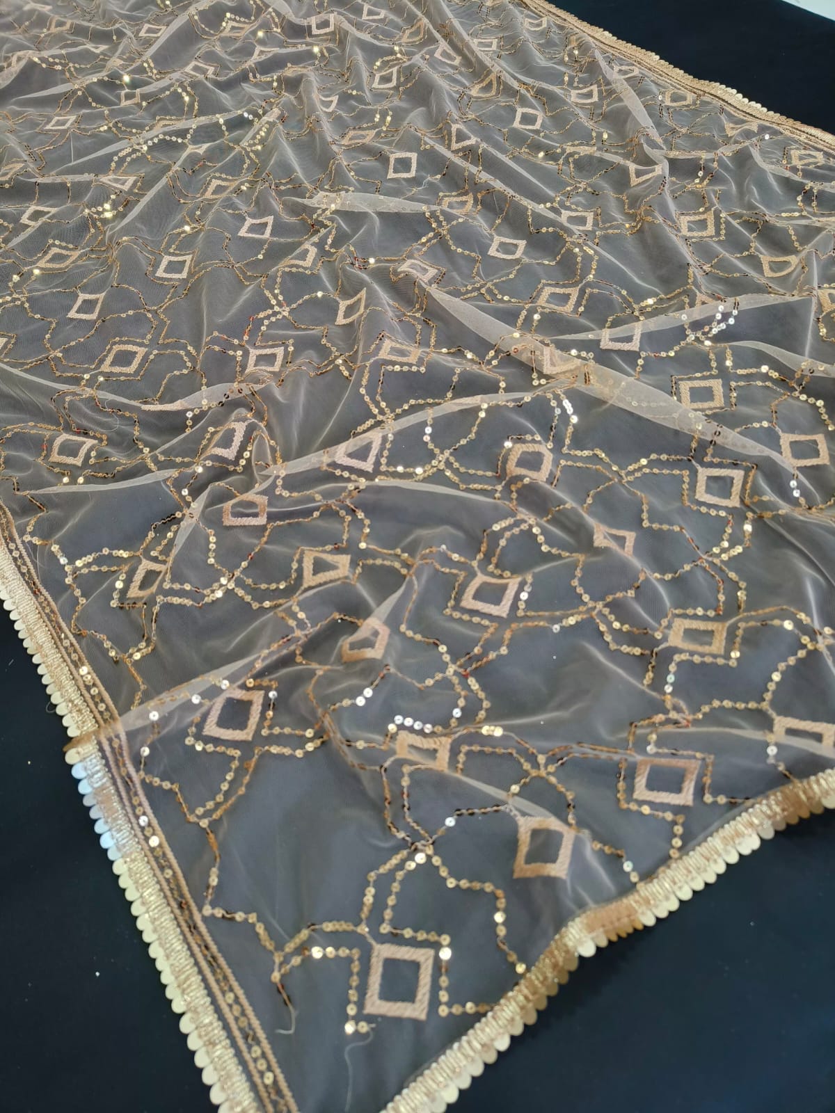 Cream Color Moni Net Embroidered Saree with Blouse