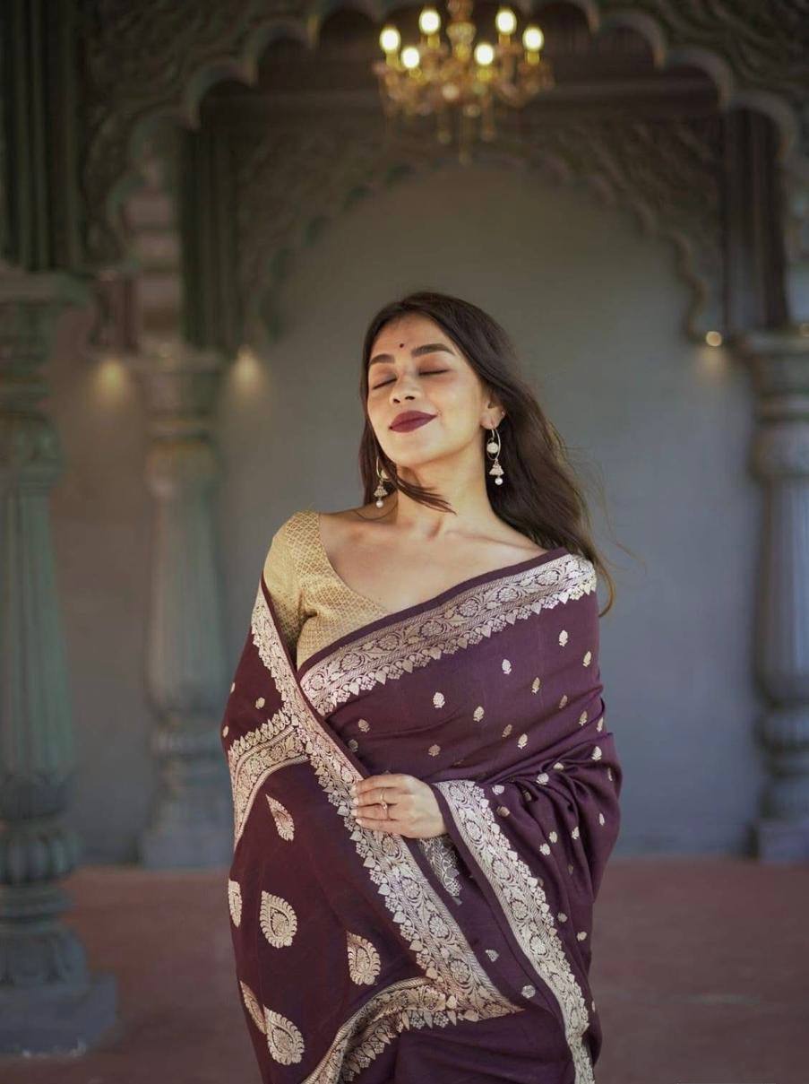 Linen Cotton Weaving Saree Blouse
