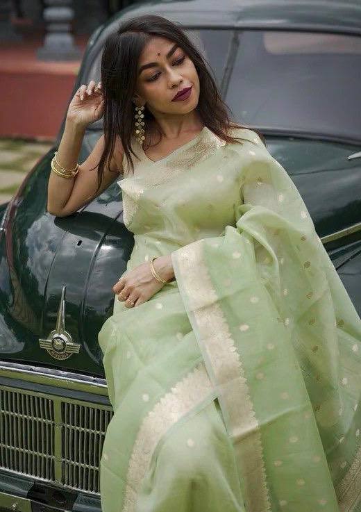 Linen Cotton Weaving Saree Blouse