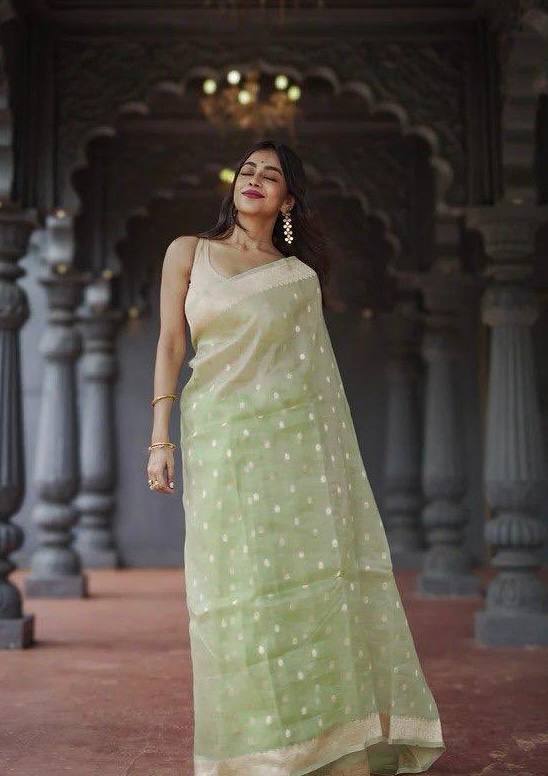 Linen Cotton Weaving Saree Blouse