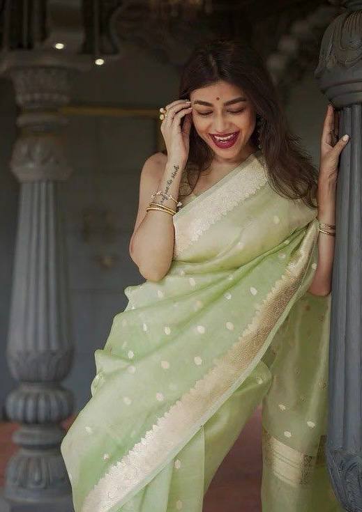 Linen Cotton Weaving Saree Blouse