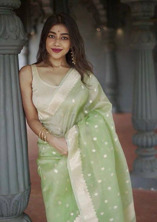 Linen Cotton Weaving Saree Blouse