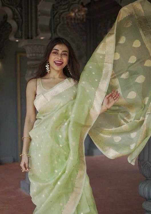 Linen Cotton Weaving Saree Blouse