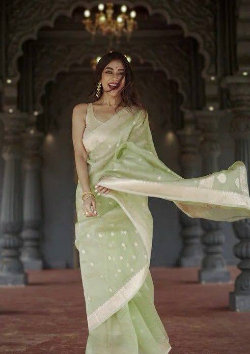 Linen Cotton Weaving Saree Blouse