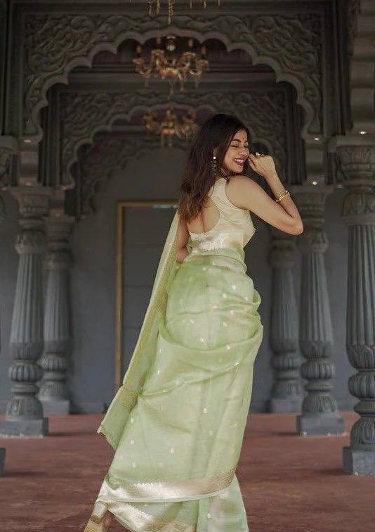 Linen Cotton Weaving Saree Blouse