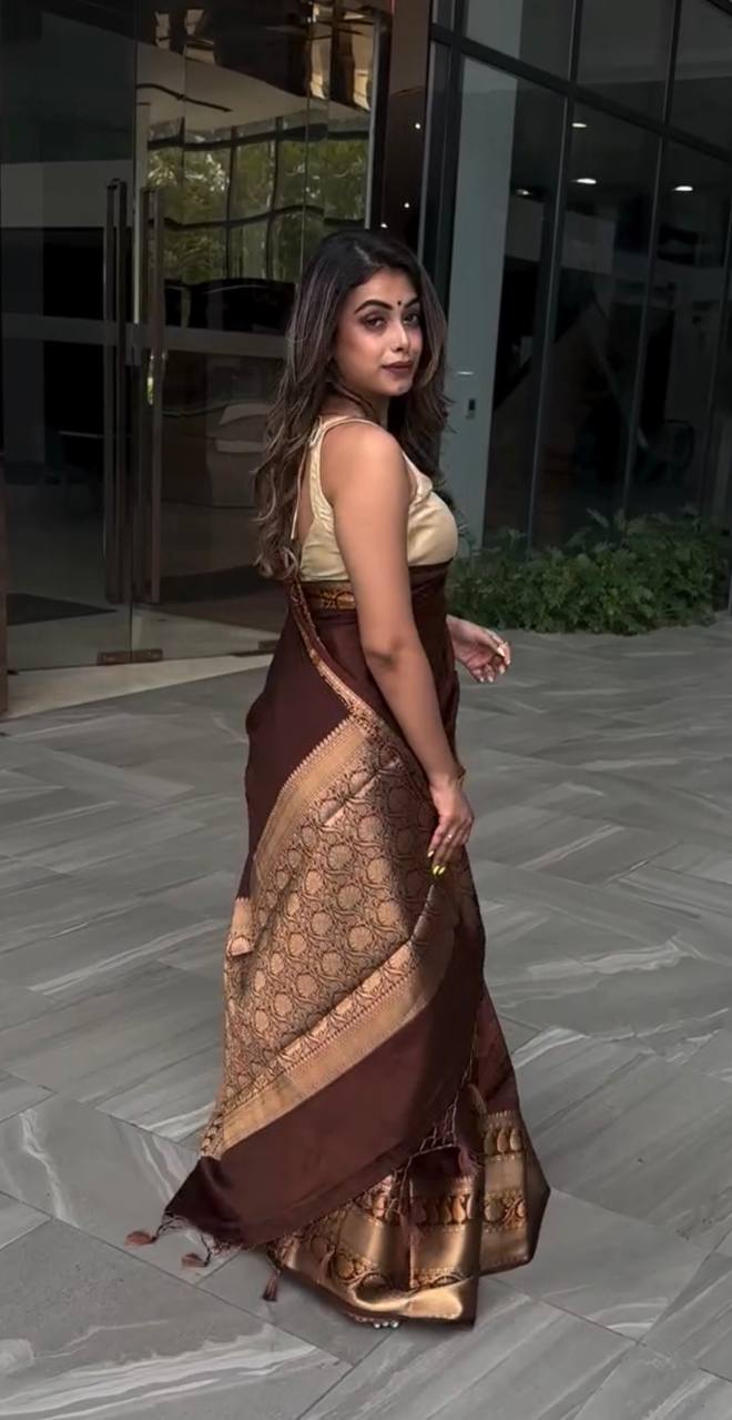 Maroon Color Lichi Silk Saree Blouse