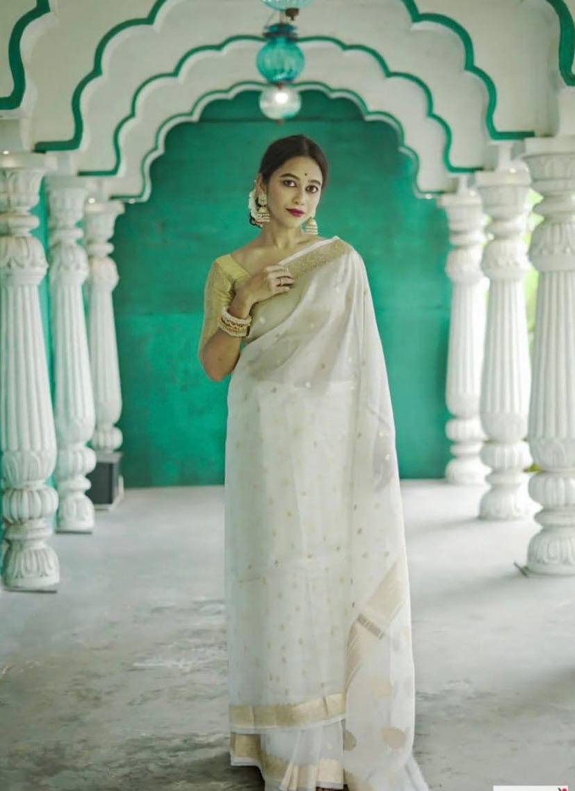 Linen Cotton Weaving Saree Blouse