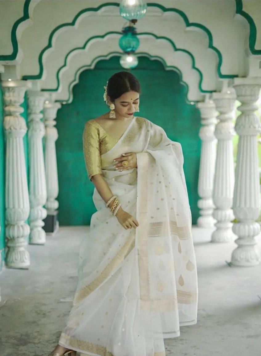 Linen Cotton Weaving Saree Blouse