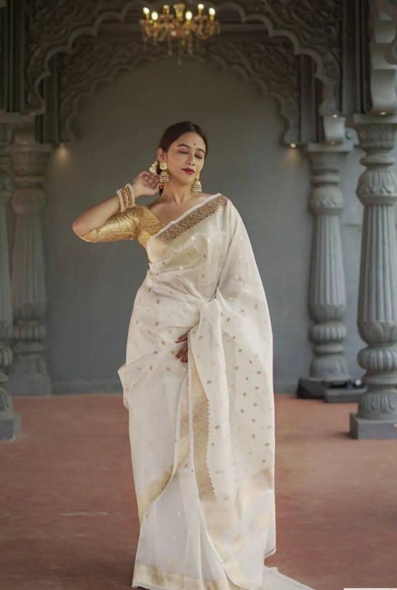 Linen Cotton Weaving Saree Blouse