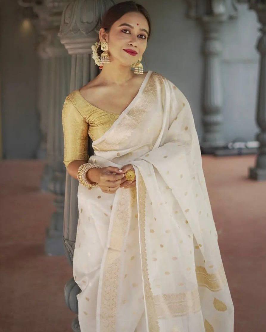 Linen Cotton Weaving Saree Blouse