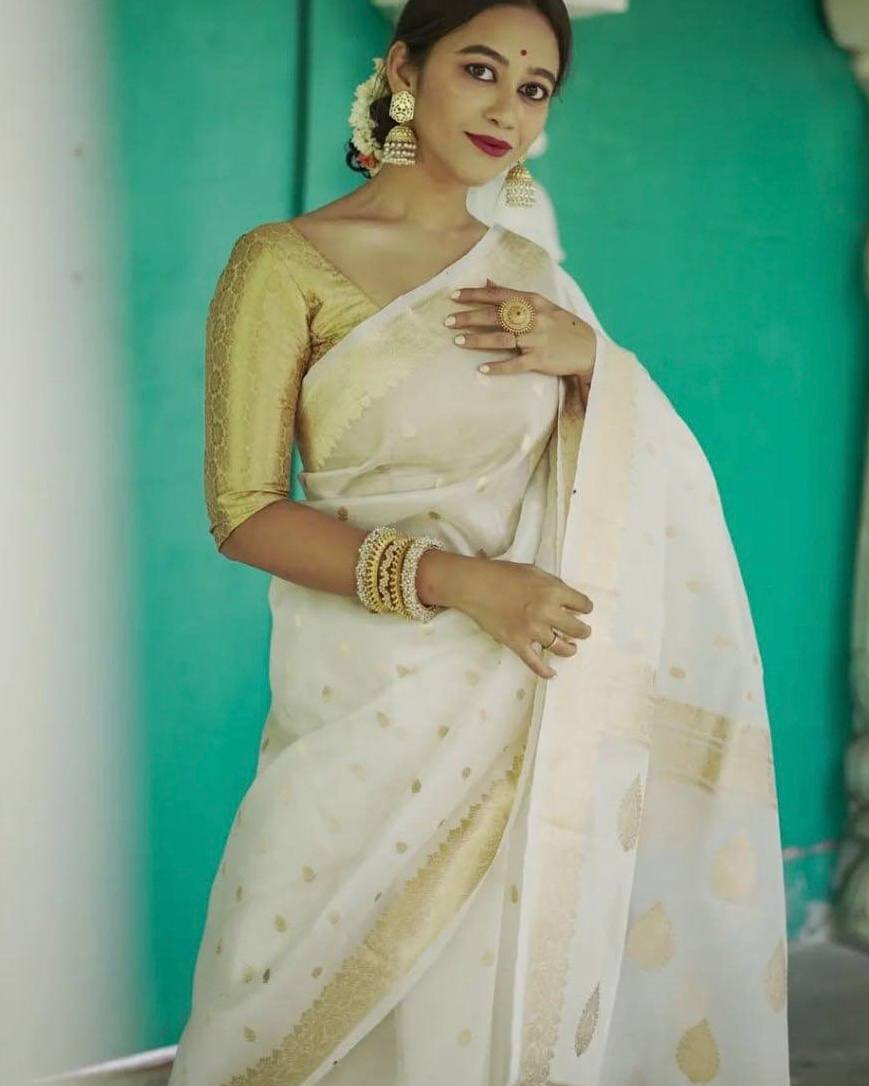 Linen Cotton Weaving Saree Blouse