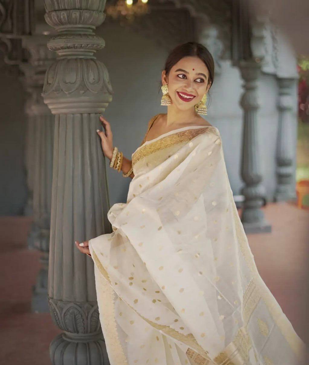 Linen Cotton Weaving Saree Blouse