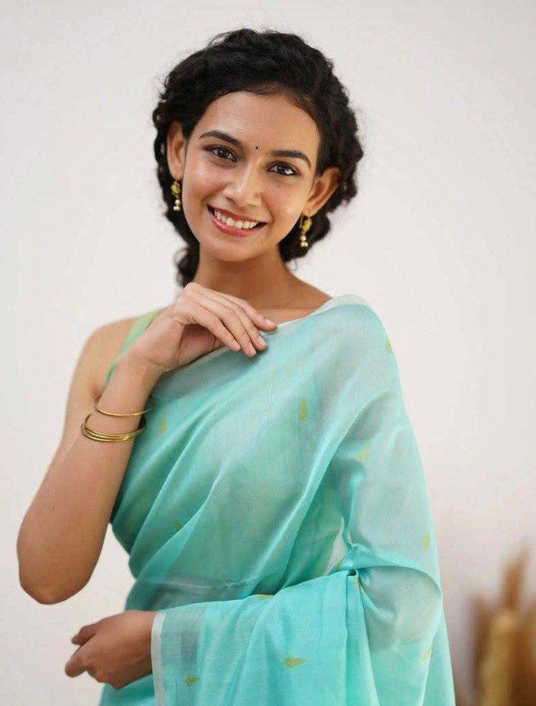 Linen Cotton Weaving Saree Blouse