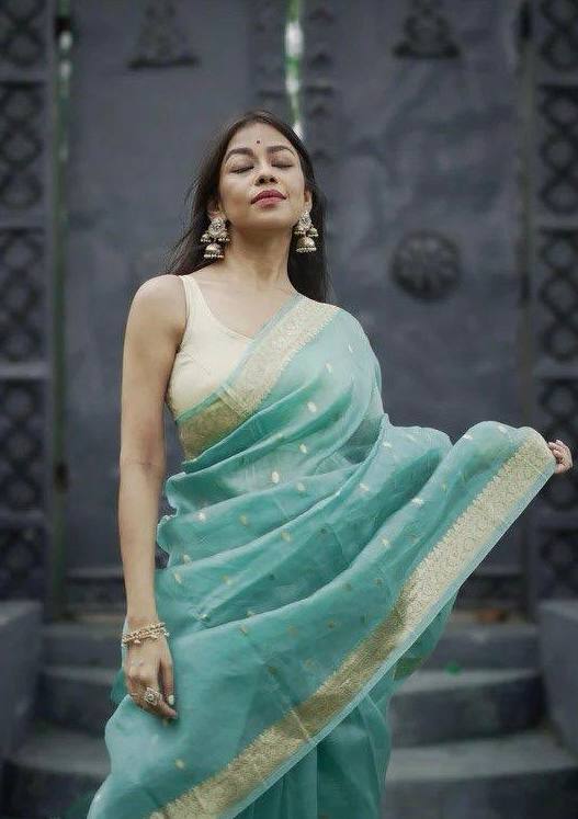 Linen Cotton Weaving Saree Blouse