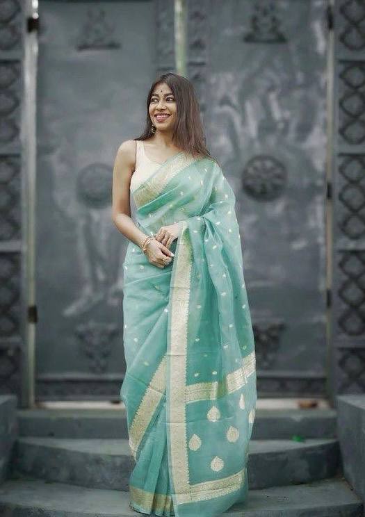 Linen Cotton Weaving Saree Blouse