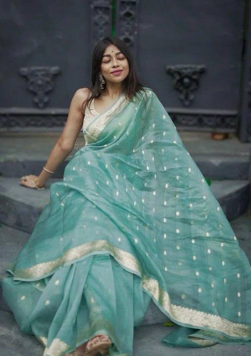 Linen Cotton Weaving Saree Blouse